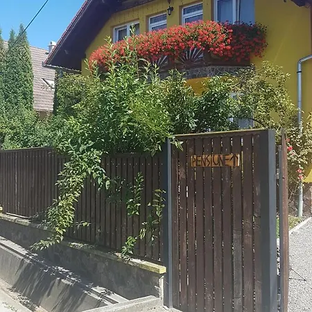 Oda ve Kahvaltı Hazanezo Panzio